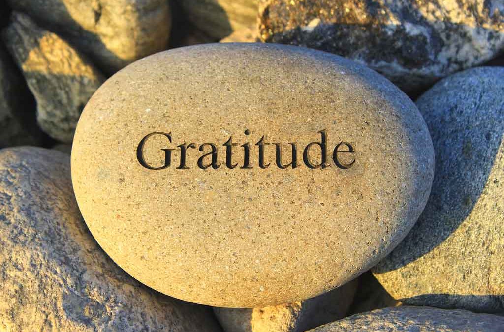 Cultivating a Gratitude Attitude: Finding Happiness in the Journey