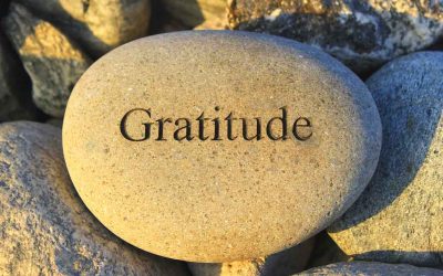 Cultivating a Gratitude Attitude: Finding Happiness in the Journey