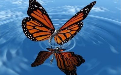 The Butterfly Effect: Small Habits, Big Results in Achieving Your Goals