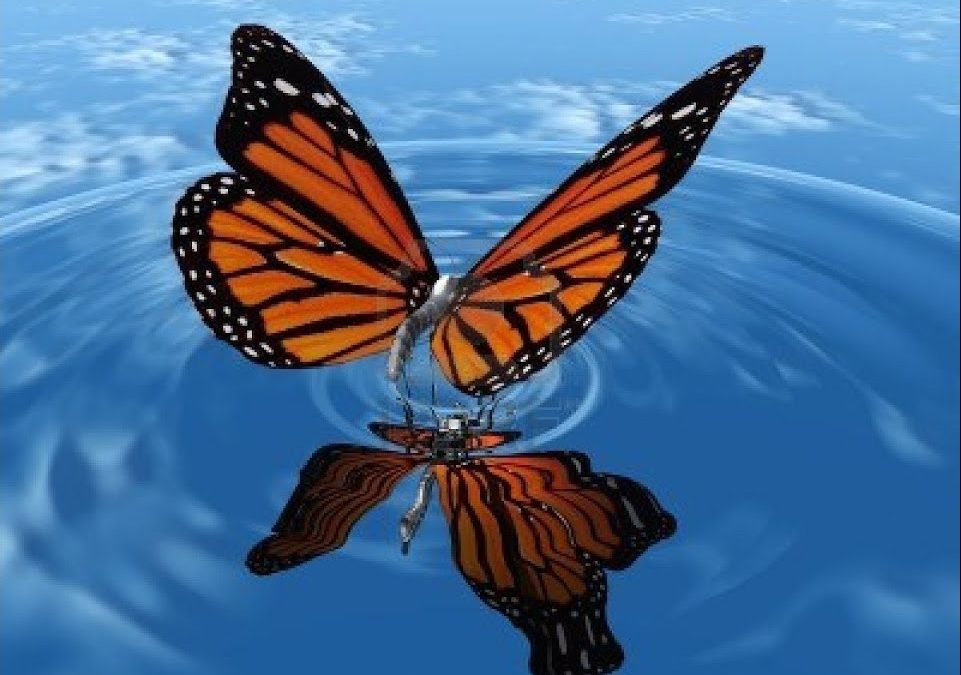 The Butterfly Effect: Small Habits, Big Results in Achieving Your Goals